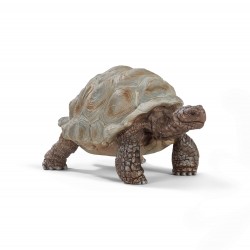 Tortue Geante Wild Life...