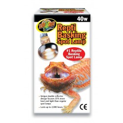ZOOMED REPTI BASKING SPOT...
