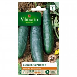 VILMORIN GRAINES...