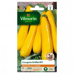 VILMORIN GRAINES...