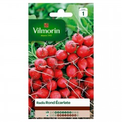 VILMORIN RADIS Rond...