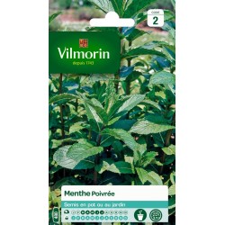 VILMORIN MENTHE Poivrée...