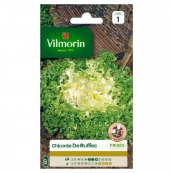 VILMORIN CHICORÉE FRISÉE De...