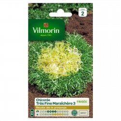 VILMORIN CHICORÉE FRISÉE...