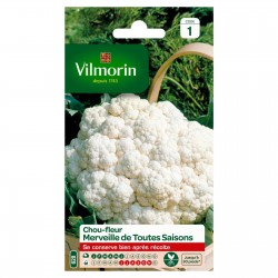 VILMORIN CHOU-FLEUR...
