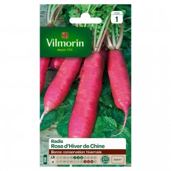 VILMORIN RADIS Rose D'Hiver...