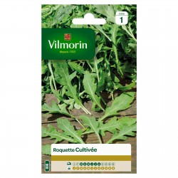 VILMORIN ROQUETTE Cultivée...