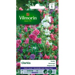 VILMORIN CLARKIA Élégant...
