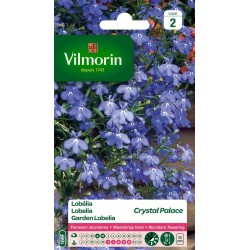 VILMORIN LOBÉLIA Crystal...