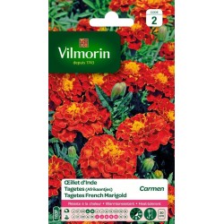 VILMORIN OEILLET D'INDE...