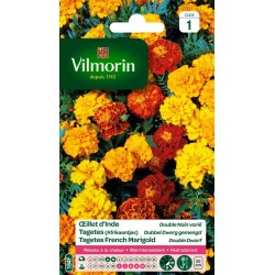 VILMORIN OEILLET D'INDE...