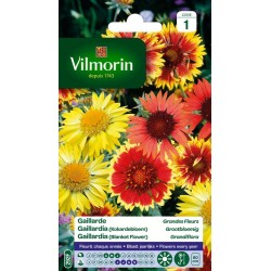 VILMORIN GAILLARDE Grandes...