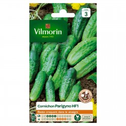 VILMORIN GRAINES...