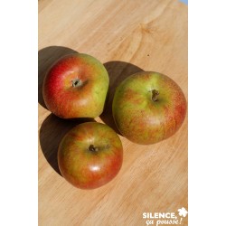 Pommier Cox'S Orange Pippin...