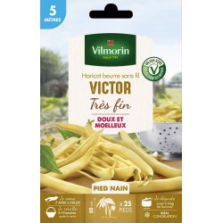 VILMORIN SÉLECTION-HARICOT...