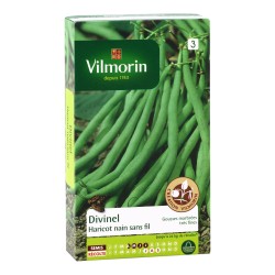 VILMORIN HARICOT Nain Sans...
