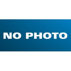 Oeillet nain rose oeil rge...