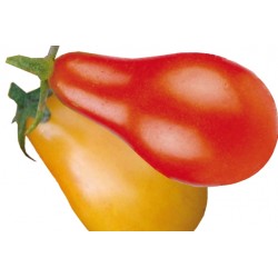 Tomate poire red pear c0.65l