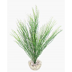 Herbe corail Vert Moyen...