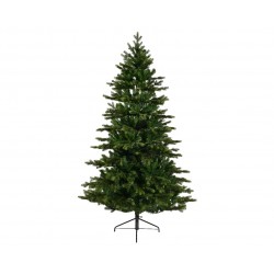 Sapin Galloway Vert En...