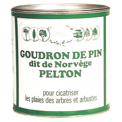 GOUDRON DE PIN Dit de...