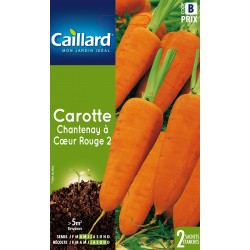 GRAINES carotte De...