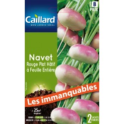 Graines Navet Rouge Plat...