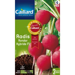 Graines Radis Rondar F1...