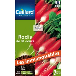 Graines Radis De 18 Jours...