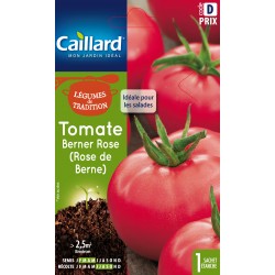 Graines Tomate Rose De...