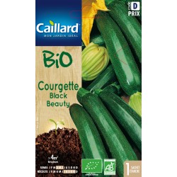 Graines Courgette Black...