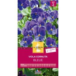 Graines Viola cornuta bleue...