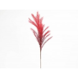 Branche Plumes Rouge...