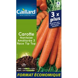 GRAINES legume Carotte...
