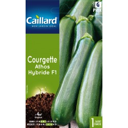 Graines Courgette Athos F1...