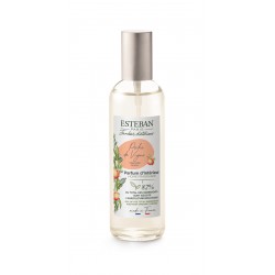 Parfum D'Intérieur Pêche De...