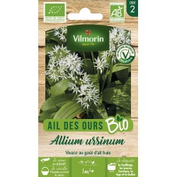 AIL DES OURS Allium ursinum...