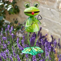 Barmy Grenouilles FLAMBOYA