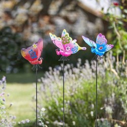 Barmy Papillons FLAMBOYA....