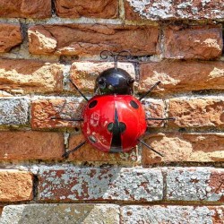 Deco murale Coccinelle L...