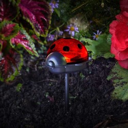 Piques coccinelles...