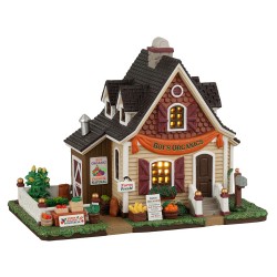 Roy'S Organics B/O Led-LEMAX