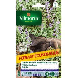 VILMORIN-CATAIRE Menthe Des...