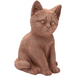 CHAT ASSIS GALESTRO 17CM...