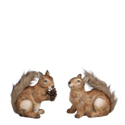 Ecureuil Marron H19 - HOUSE...