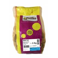 PLANTÉO Pomme de terre...