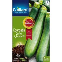 Graines Courgette Quine F1...