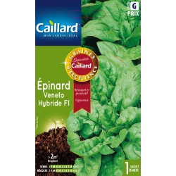 Graines Epinard Veneto F1...
