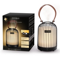 Diffuseur Brume De Parfum...