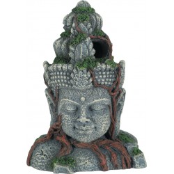 ZOLUX ASIE Statue tête...
